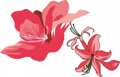 Azalea Society of America
